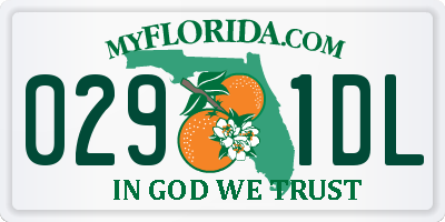 FL license plate 0291DL