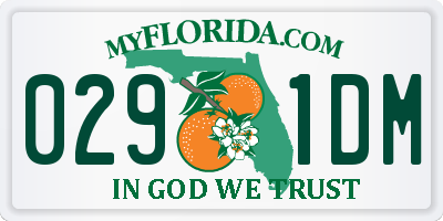 FL license plate 0291DM