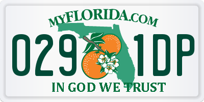FL license plate 0291DP