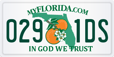 FL license plate 0291DS
