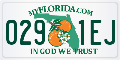 FL license plate 0291EJ