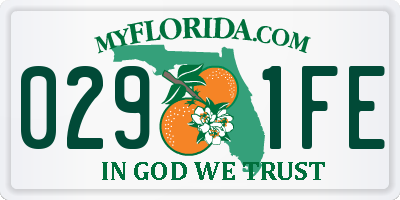 FL license plate 0291FE