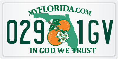 FL license plate 0291GV