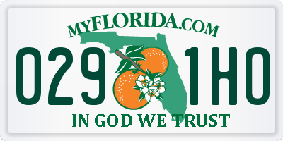 FL license plate 0291HO