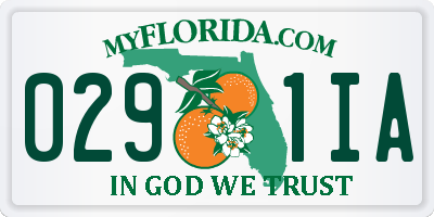FL license plate 0291IA