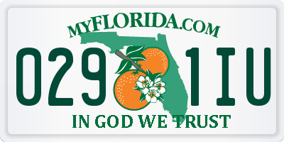 FL license plate 0291IU