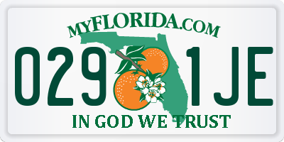 FL license plate 0291JE