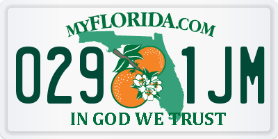 FL license plate 0291JM
