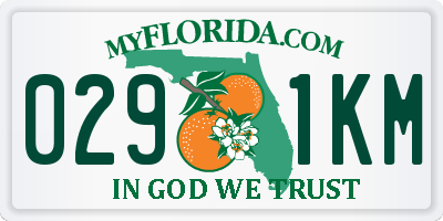 FL license plate 0291KM