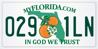FL license plate 0291LN