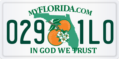 FL license plate 0291LO