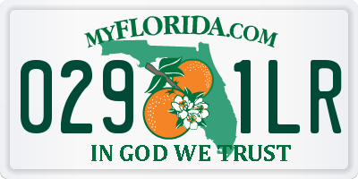 FL license plate 0291LR