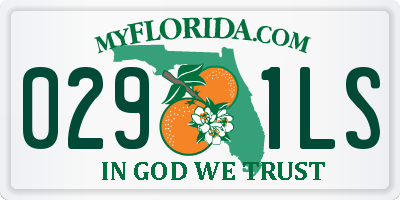 FL license plate 0291LS