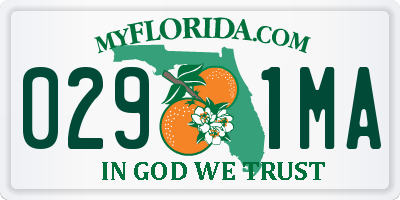 FL license plate 0291MA