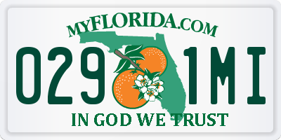 FL license plate 0291MI