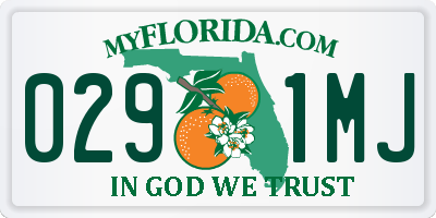 FL license plate 0291MJ