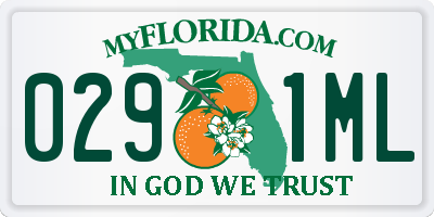 FL license plate 0291ML