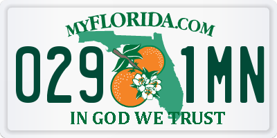 FL license plate 0291MN
