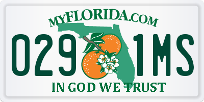 FL license plate 0291MS