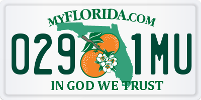 FL license plate 0291MU