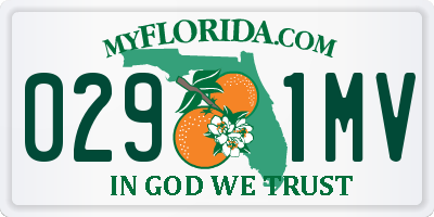 FL license plate 0291MV