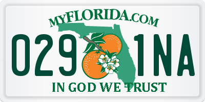 FL license plate 0291NA