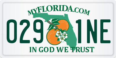 FL license plate 0291NE