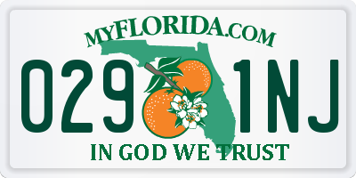 FL license plate 0291NJ