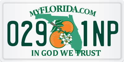 FL license plate 0291NP