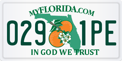FL license plate 0291PE