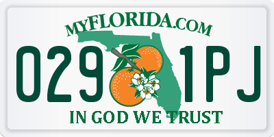 FL license plate 0291PJ
