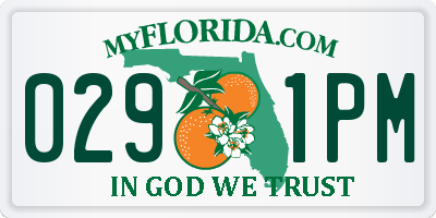 FL license plate 0291PM