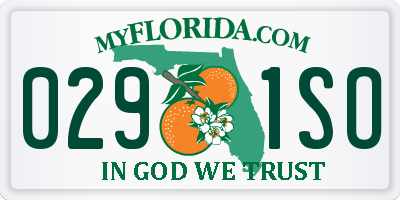 FL license plate 0291SO