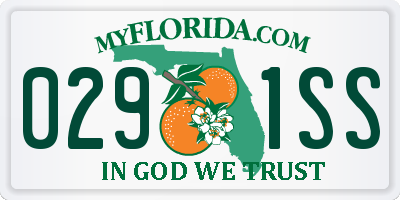 FL license plate 0291SS