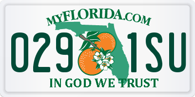 FL license plate 0291SU