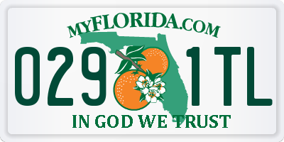 FL license plate 0291TL