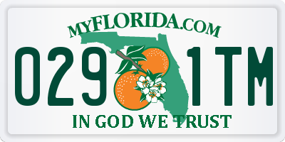 FL license plate 0291TM