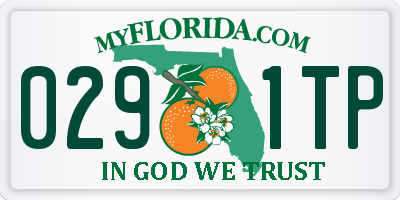 FL license plate 0291TP