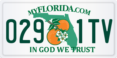 FL license plate 0291TV