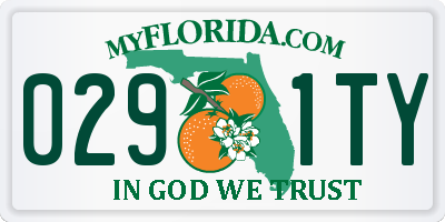 FL license plate 0291TY