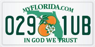 FL license plate 0291UB