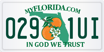 FL license plate 0291UI