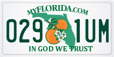 FL license plate 0291UM