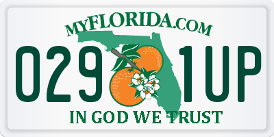 FL license plate 0291UP