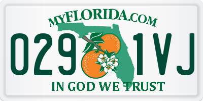FL license plate 0291VJ