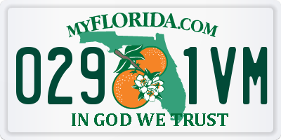 FL license plate 0291VM
