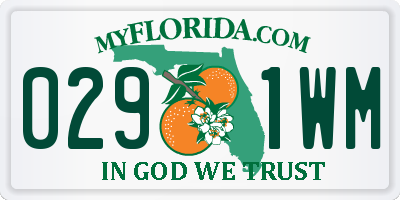 FL license plate 0291WM