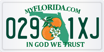FL license plate 0291XJ