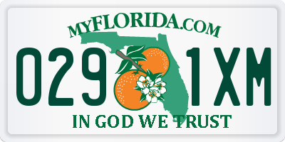 FL license plate 0291XM