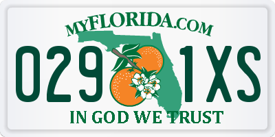 FL license plate 0291XS